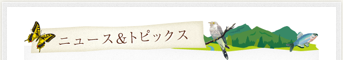 ニュース＆トピックス