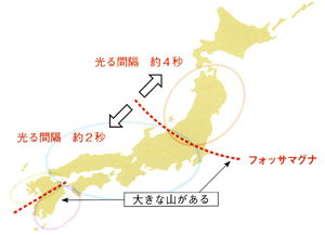 ゲンジボタルの光り方の違い