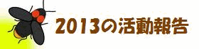 2013年の活動報告